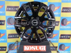 RAYS Team Daytona FDX F6