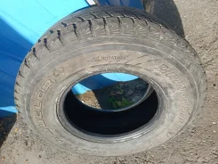 Bridgestone Winter Dueler DM-Z2. �����������, �/�, ����� 80 % ����