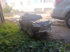 �������������. ����