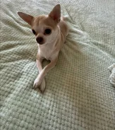 ��������. ����