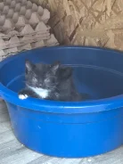 ����������� �����. ����