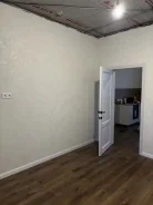 ������ �������. ����