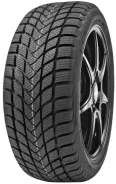Delinte Winter WD6