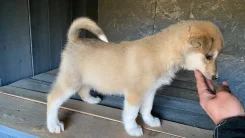 ���������������� �����. ����