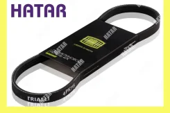 ������ ������������ Trialli 4PK950 4PK950 ����