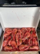��������. ����