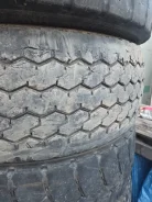 Triangle TR697. �����������, 2024 ���, �/�, ����� 50 % ����