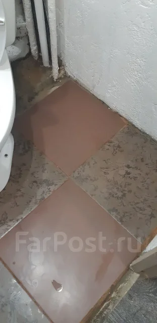 ������ �������. ����