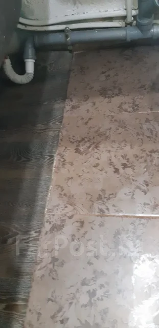 ������ �������. ����