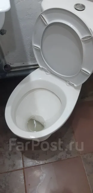 ������ �������. ����