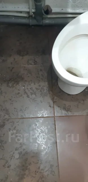 ������ �������. ����