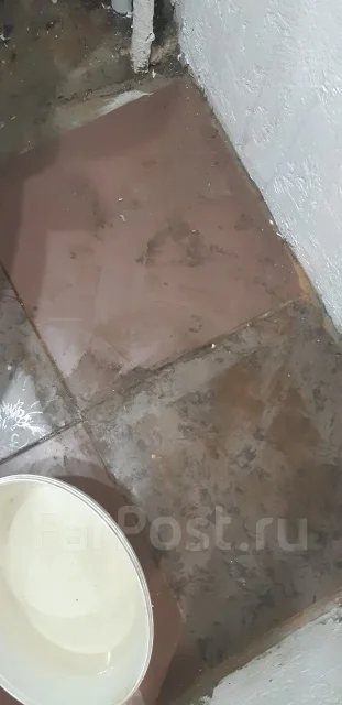 ������ �������. ����