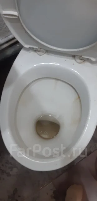 ������ �������. ����