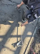 ������������ ���������� ������������ Toyota Vista 4881232270 SV33, ������ 4881232270 ����