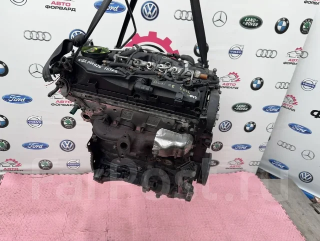 ��������� Audi A5 8T CGL 2.0 TDI CGL 03L100091E, 03L100104N, 03L103265D ����