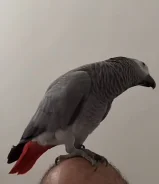 ������� ����. ����