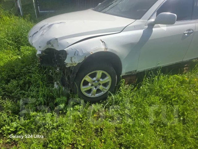 Toyota Mark X ����