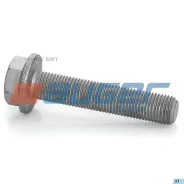 ���� ���������� �����! M14x1.5x70 10.9MB Actros/Axor Auger 77251 77251 ����