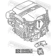 ������� ��� �����! MB C-Class W205 13 Febest BZM2054WDLH BZM2054WDLH ����