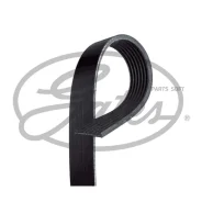 ������ ������������ Gates 7PK1260 7PK1260 ����