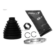������� ���� GSP 780377 780377 ����