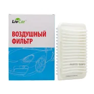 ������ ��������� Livcar LCT101324005A LCT101324005A ����