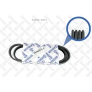 ������ ������������! 4PK1065 Nissan Micra 1.0/1.2/1.4 16V 02 Stellox 0401065SX 0401065SX ����