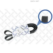 ������ ������������! 6PK2130 MB W203 1.8 99 Stellox 0602130SX 0602130SX ����