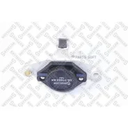 ����-���������! VW, Ford, BMW, Fiat 1.0-2.4 0671603SX ����