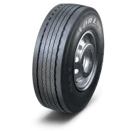 ���� Forza REG T