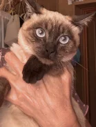 �������� �����. ����