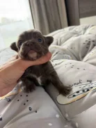 ��������. ����