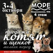 �������� ������� ����� � ������ ������ �����. ����