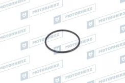 ������ ������� ����� 2,05/36,00 Motorherz HR0332 HR0332 ����