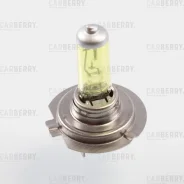����� H7 12V (55W) Fog light H7 12V (55W) PX26D Carberry 31CA13FL 31CA13FL ����