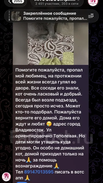 �����. ����