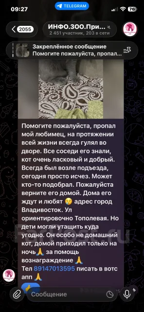 �����. ����