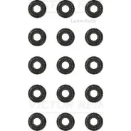 ������������ �������� �������� 123130610 ����