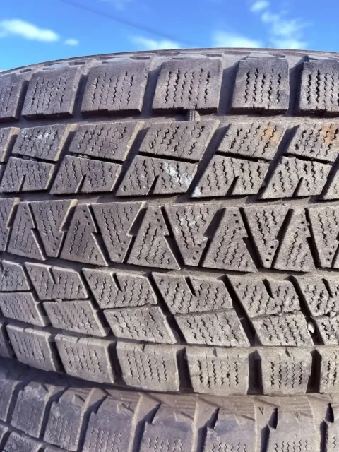 Bridgestone Blizzak DM-V1. ������, ��� �����, �/�, ����� 40 % ����