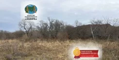 ��������� ������� ��� �������� �. ��������� ��. ��������. 8����., ��� ������� ������� ���������� ���������, �������������. ���� ������� ����