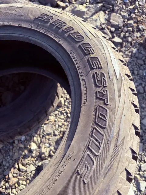 Bridgestone Blizzak DM-V1. ������, ��� �����, �/�, ����� 20 % ����