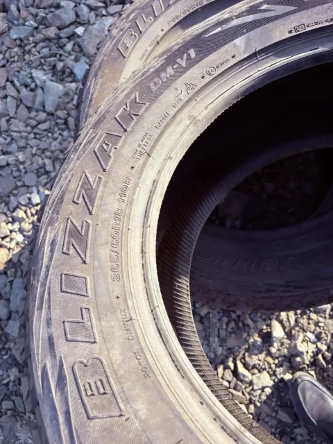 Bridgestone Blizzak DM-V1. ������, ��� �����, �/�, ����� 20 % ����