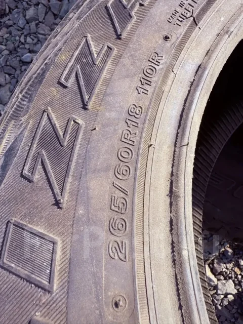 Bridgestone Blizzak DM-V1. ������, ��� �����, �/�, ����� 20 % ����