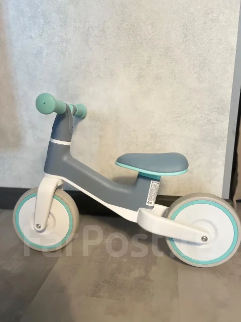 ��������. ����