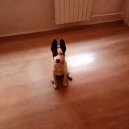 ������. ����