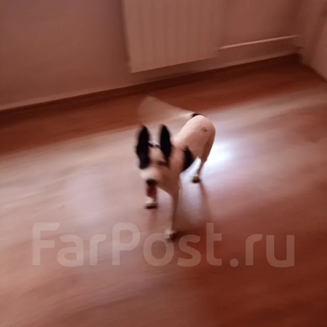 ������. ����
