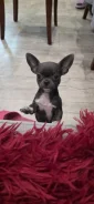 ��������. ����