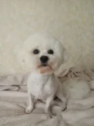 ����� �����. ����