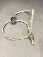 ����������� ������, ������ ���� ZJ3918861 ����