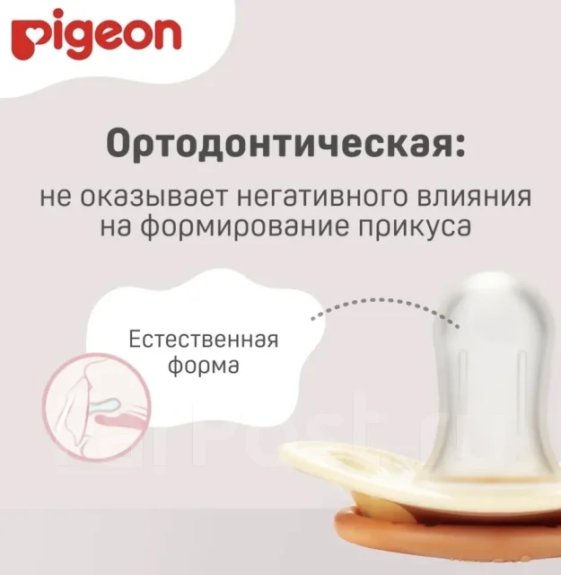 ��������. ����